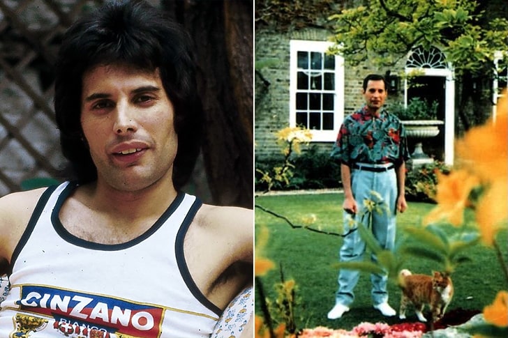 Woran Ist Freddy Mercury Gestorben